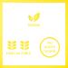 FOREST FEAST Tropical Pineapple 6 x 120g | Dried Fruit Healthy Snack Option with 100% Natural Dried Pineapple with No Added Sugar High in Fibre & Low Fat - Buy Online on GoSupps.com