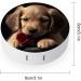 Cute Pet Dog Print Contact Lens Case - Travel & Care Box for Contacts - Durable Plastic Storage - Buy Online on GoSupps.com