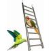 GEKMOR 9-Step Stainless Steel Parrot Ladder for Bird Cages - Rustproof, Nonskid, Portable & Durable - Buy Online on GoSupps.com