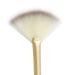 Facial Fan Brush Set - Pack of 5 Black | Multi-Use Makeup & Mask Applicator for Chemical Peel & Glycolic Masques - Buy Online on GoSupps.com