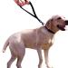 Short Dog Lead Training Dog leashes 13 inch Black - Buy Online on GoSupps.com