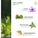 Buy Kerala Ayurveda Bala Thailam - Rejuvenative Massage Oil for Body | Strengthens Muscles & Balances Vata | 6.8 Fl Oz | International Shipping - Buy Online on GoSupps.com