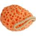 Beaupretty exfoliating Bath Sponge Remover Dead Skin face exfoliator Sponge Gentle Face Washing Spa Exfoliator Bathing exfoliator Brush Natural Cellulose Bath Sponge Bath Wipe Baby - Buy Online on GoSupps.com