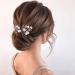 Flayem Wedding Hairpins - Silver Rhinestone Bridal Jewelry & Hair Accessories (2 Pieces) for Women & Girls - Buy Online on GoSupps.com