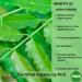 Iyasa Holistics USDA Organic Neem Leaf Super Greens Powder - 8 oz/ 226g - Purify Blood & Liver, Support Healthy Hair & Skin - Resealable Bag - Pack of 1 - Buy Online on GoSupps.com