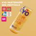 KYO Set of 8 Kombucha Organic Lemon Ginger Cans - Sparkling - Low Sugar - Alcohol Free and Artisan - Buy Online on GoSupps.com