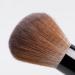 Complete Makeup Brush Set for Beginners | Powder Eye Shadow & Eyeliner Brushes - International Shipping Available - Buy Online on GoSupps.com