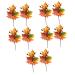 Zerodeko 10 Pcs Faux Maple Squash Autumn Faux Plant Plants Decor Maple Leaf Bouquet Artificial Fall Picks Fall Maple Leaf Halloween Decoration Halloween Party Silk Flower Household Leaves Orangex5pcs 22x22cmx5pcs