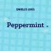 Keep It Cool Peppermint Lip Balm - Moisturizing 0.15 Ounces - International Shipping Available - Buy Online on GoSupps.com
