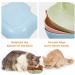 FANTESI 6 Pcs Cat Bowl Anti-Slip Cat Food Bowl Cat Feeding Bowls Multi-purpose Plastic Cat Food Bowl for Wet Food and Water Cat Bowls for Indoor Cats Kittens Puppies - Buy Online on GoSupps.com