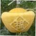 GANAZONO 4pcs Clear Fruit Mini Watermelon Plastic Fruit Square Mold Small Fruit Mold Ginseng Tool Pumpkin - Buy Online on GoSupps.com