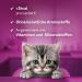 Whiskas Milk Kitten Snacks for 2-12 Months - 8x55g Treats for Healthy Growth | Functional Cat Snacks - International Shipping Available - Buy Online on GoSupps.com