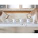 Necoichi Raised Cat Food Bowl - Backflow Prevention, Stress-Free Design, Dishwasher & Microwave Safe - Japan's No.1 Seller - Buy Online on GoSupps.com