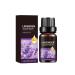 TS TAC-SKY Lavender Essential Oil - Multi-Purpose Care For Face Hair Eyelashes & Body Moisturizes Skin Boosts Shine Nourishes Lashes(2PCS)