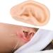 Acupuncture Ear Model - Soft Silicone Fake Ear for Earring Display & Jewelry Training | Ideal for Acupuncture Apprenticeship - Buy Online on GoSupps.com