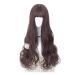 BGHJUE Wigs Dark Roots Long Curly Synthetic Hair Full Wigs For Women With Free Wig Cap 70cmDarkbrown Dark brown70cm