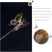 Gold Butterfly Hair Stick Set - 2 Packs Hair Chopsticks Chinese Hairpin for Women Girls Long Hair - Chignon Pin - 2 Count - Buy Online on GoSupps.com