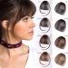 Bangs Bangs Hair Clip in Bangs Heat Resistant Thin Bangs Fringe Bangs Clip on Hairpiece One Piece in Fringe Natural Flat Air Bangs Hair Extensions for Women for Women Curved Bangs for Daily Wear (C A Light brown - Buy Online on GoSupps.com