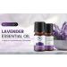 Marco Esra Lavender Essential Oil 10ml Pure and Natural Diffuser Oil for Aromatherapy Diffuser Humidifier Massage Undiluted No Fillers (Lavender) - Buy Online on GoSupps.com