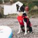 Red Original Dog Life Jacket S - Adjustable PFD for Safe and Stylish Water Adventures - Buy Online on GoSupps.com