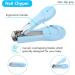 Vicloon Baby Nail Care Set - 5-in-1 Kit for Newborns & Toddlers - Includes Clippers, Scissor, Earpick, File, Tweezer - Blue - Buy Online on GoSupps.com
