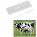 Amhuui pregnancy test strips Cow Pregnancy Urine Medium Current Equipment urine midstream kit for animals early pregnant women diagnostic tester for farm fast safe reliable and easy
