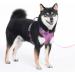 Pawaii Dog Harness for Large Dogs - Adjustable Breathable Anti-Drawing Design in Orchid Purple (XL: 81-96cm) - Buy Online on GoSupps.com
