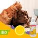 Beaphar Bio Ears of Milk for Dogs & Cats | 100ml Organic Treats | 98.9% Organic Ingredients | 0% Parabens & Dyes - Shop Now! - Buy Online on GoSupps.com