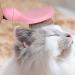 tonyg-p Dog Grooming Brush Comb Kit Soft Slicker Brush + Double Sided Grooming Comb for Small Medium Large Pets with Long Hair(Pink) - Buy Online on GoSupps.com