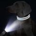 Tagme Personalized Dog Collar for Small Dogs - Embroidered Reflective Nylon with Pet Name & Phone Number - Sky Blue (1 Pack) - Buy Online on GoSupps.com