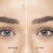 ARTDECO Perfect Stick Concealer with Tea Tree Oil - Strong Coverage Natural Sand Pack of 2 - 4g Each - International Shipping Available - Buy Online on GoSupps.com