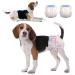 Dono disposable dog diapers female 48 pieces super absorbent leak-proof dog diapers female for season cat diapers dog pants for incontinence heat period irritable trace XXS XS S M L M-48count 48.0