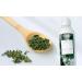 Green Tea Face Cleanser - Vitamin A C & Plant Proteins for All Skin Types | 8 oz - Shop Now - Buy Online on GoSupps.com