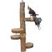 Large Hanging Wooden Rotating Platform for Small Animals - Natural Fruit Wood Stand for Chinchillas, Squirrels, Sugar Gliders, Birds - Rotating Bird Perch - Buy Online on GoSupps.com