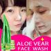 Aloe Vera Facial Wash Gel 99 Aloe Vera Soothing Moisturizing Gel Deep Cleansing Foam Balancing Oil Refreshing Daily Cleansing for All Skin Types 1 Piece - Buy Online on GoSupps.com