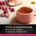 Lipton Th Noir Fruits Rouges Go t Fraise de France 12x20 Sachets Pyramid 240 Sachets - Buy Online on GoSupps.com