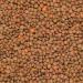 Wholefood Earth Organic Brown Lentils 500g GMO Free | Vegan | High Fibre | High Protein | Certified Organic - Buy Online on GoSupps.com