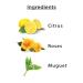 Body Mist Charming 150ml - Buy Online on GoSupps.com