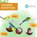 Buy Bird Swing for Budgies & Cockatiels | Coconut Swing & Accessories for Happy Pets - Buy Online on GoSupps.com