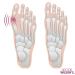 Bunion Relief Pads Sleeve - Orthopedic Bunion Corrector Socks - Gel Pad Cushions for Men and Women - 2 Count - Buy Online on GoSupps.com