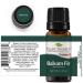 Plant Therapy Balsam Fir Essential Oil 10 mL - 100% Pure Therapeutic Grade - 0.34 Fl Oz - Buy Online on GoSupps.com