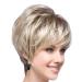 Tsnomore More Stylish Shaggy Blonde Short Straight Capless Synthetic Wig