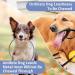 Mi Metty Chew Proof Dog Leash Extension Rope - 24 inch/60cm - Non-Tangle Training Leash - Orange+Purple - Buy Online on GoSupps.com