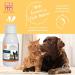MENFORSAN Liquid Food Supplement for Dogs and Cats with Intestinal Problems 120ml Improves Digestion Strengthens Intestinal Function - Buy Online on GoSupps.com