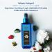 Blue Nectar Chamba Wild Nargis Body Mist for long lasting freshness and aromatic body odor (3.4 Fl oz) Floral Daffodil (Nargis) 3.4 Fl Oz (Pack of 1) - Buy Online on GoSupps.com