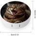 Portable Yawning Cat Contact Lens Case - Travel-friendly Storage Box for Contacts - Buy Online on GoSupps.com