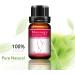 TYTOGE Hip Buttock Enlargement Oil | Lift and Firm Massage Essential Oil (10ml) - Enhance Your Curves Boost Skin Care - Buy Online on GoSupps.com