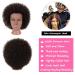 100% Human Hair Afro Curly Mannequin Head for Hairdresser Training - African American Doll Head with Clamp Stand - Ideal for Practice Styling and Braiding - Buy Online on GoSupps.com