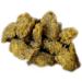 Nutrafin Bug Bites Small to Medium Fish Food Cichlid Formula 45g (1.4-1.6 mm granules) Ginger Cichlids - Buy Online on GoSupps.com