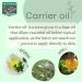 Buy Pure Kukui Nut Oil 10ml - Cold Pressed with Glass Dropper | Aleurites Moluccanus | International Shipping Available - Buy Online on GoSupps.com